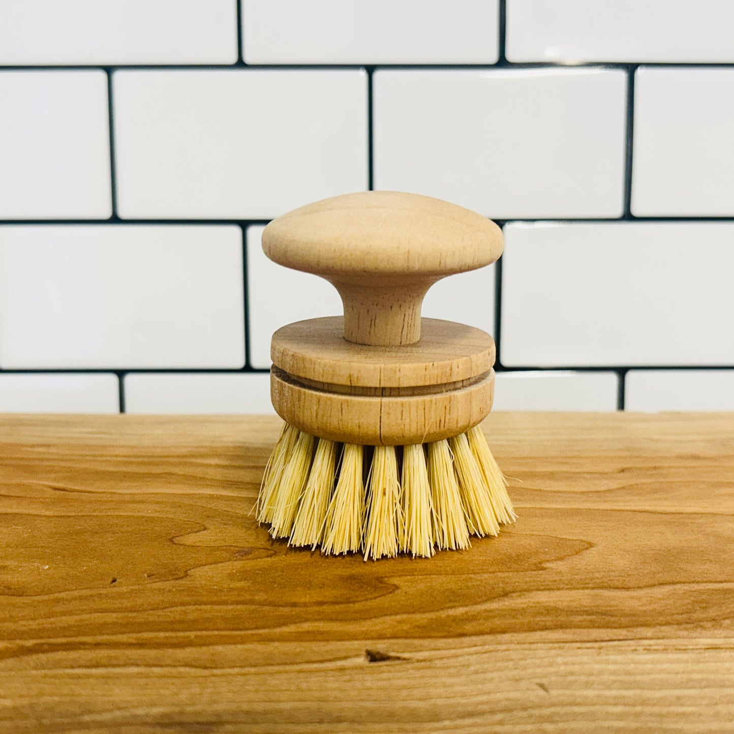 Dish Brush with Handle | Replaceable Head | Kitchen & Dishes