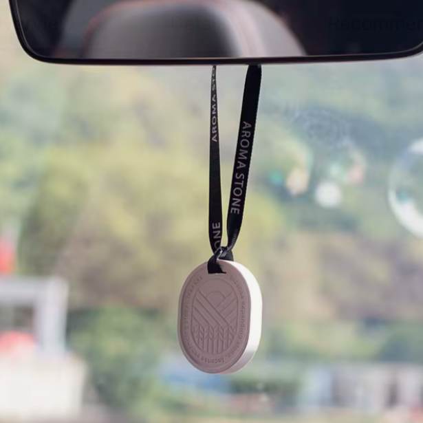 Hanging Oil Diffusers | Diatomite Stone Car Air Freshener