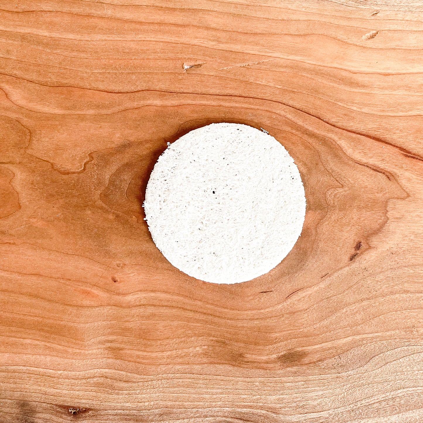 Loofah Pad