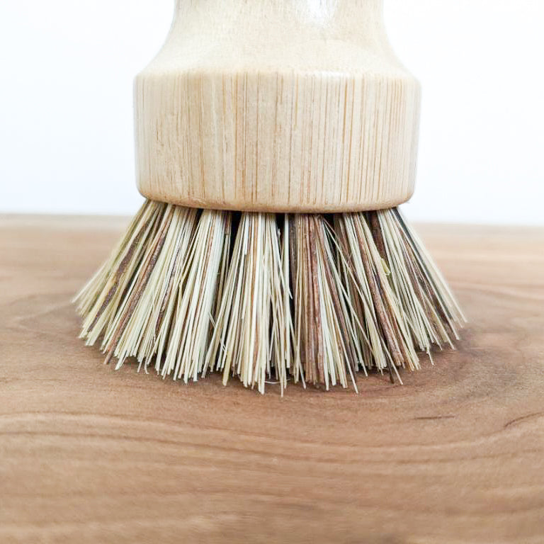 Dish Brush | Bamboo and Coconut