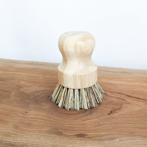 Dish Brush | Bamboo and Coconut