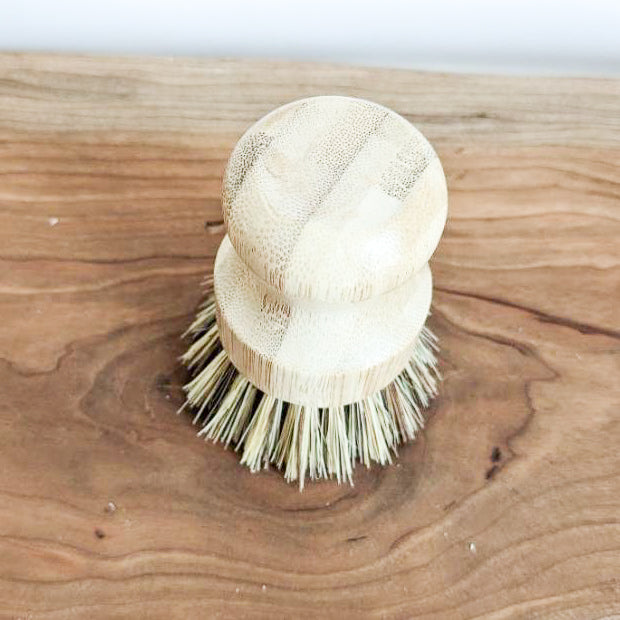 Dish Brush | Bamboo and Coconut