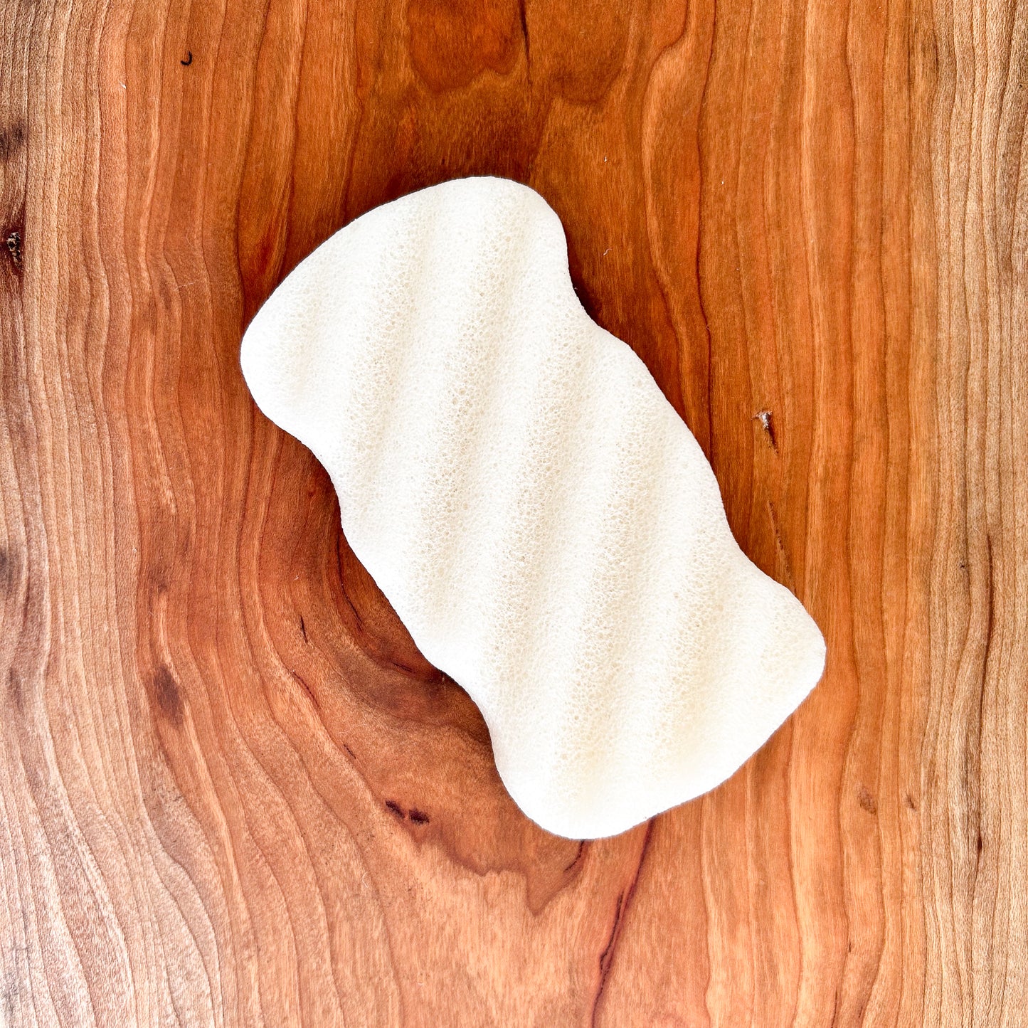 Konjac Wave Body Sponge | Rectangle