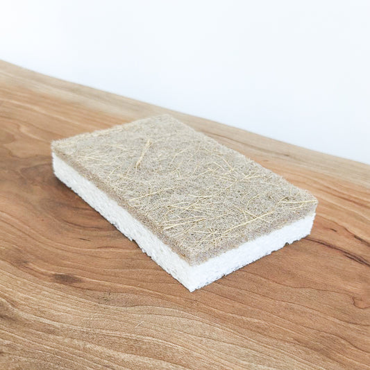 Coconut and Wood Pulp Sponge | Rectangle