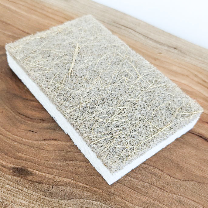 Coconut and Wood Pulp Sponge | Rectangle